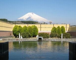 『裾野温泉　ヘルシーパーク裾野』【平日・裾野市外の方限定】時間制入館料割引（入湯税150円込み）